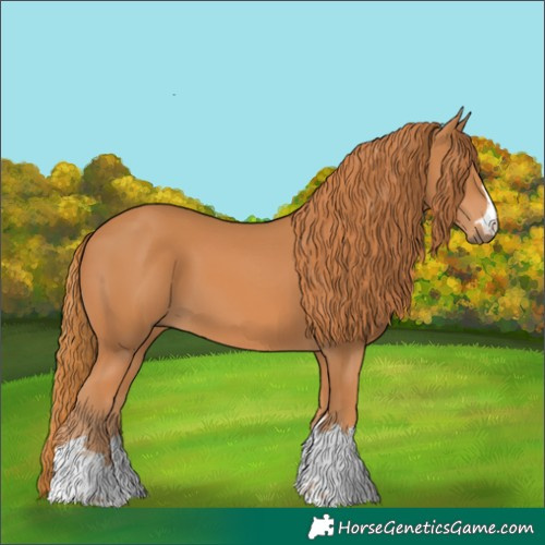 Horse Color:Chestnut 