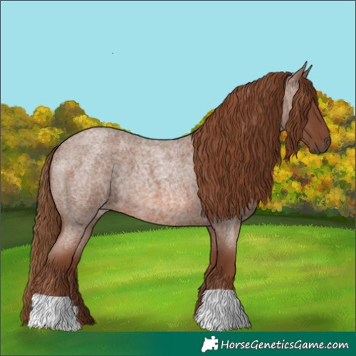 Horse Color:Red Roan