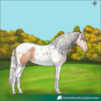Horse Color:Silver Classic Champagne Tobiano 
