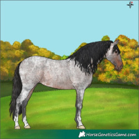 Horse Color:Brown Ice Roan