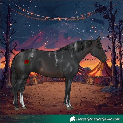 Horse Color:Powder White Brown