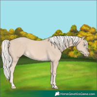 Horse Color:Cremello