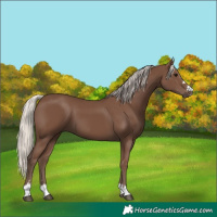 Horse Color:Silver Black 