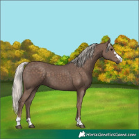 Horse Color:Silver Black 