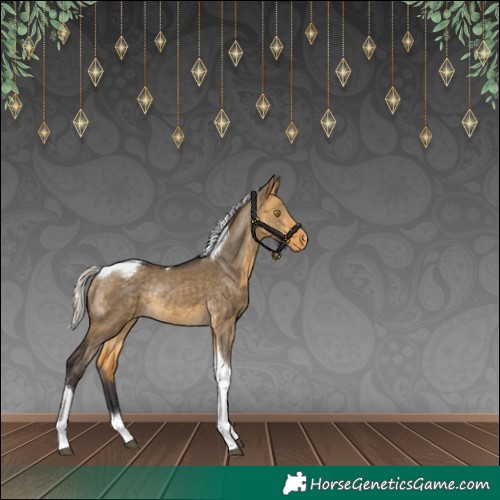 Horse Color:Silver Buckskin Dun Tobiano Appaloosa Rabicano 