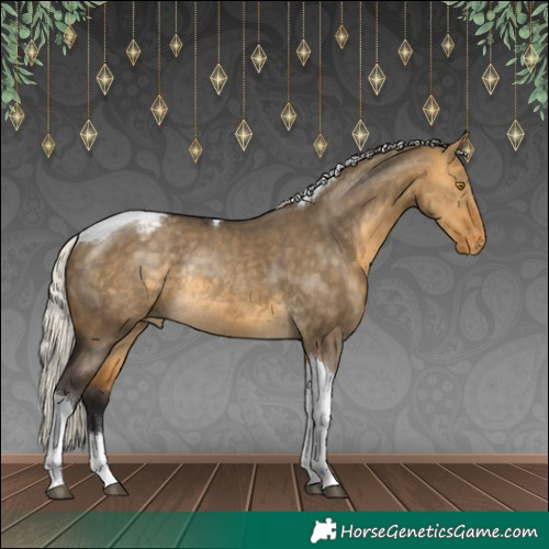 Horse Color:Silver Buckskin Dun Tobiano Appaloosa Rabicano 