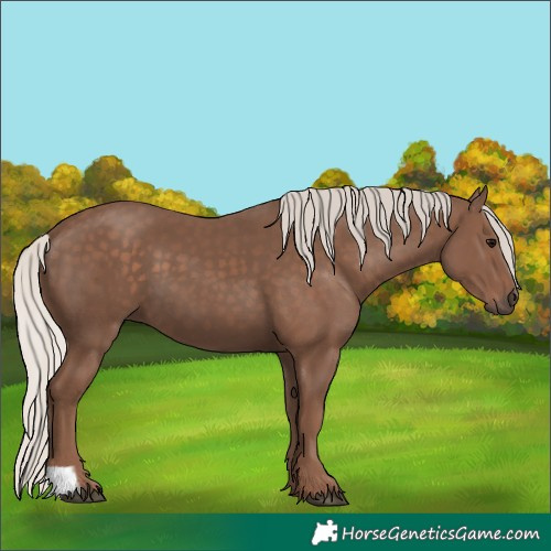 Horse Color:Silver Black 