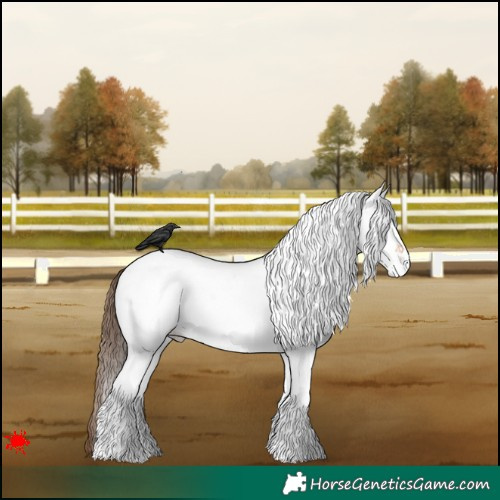 Horse Color:White Spotted Bay Roan Dun Appaloosa Rabicano 