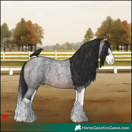 Horse Color:Brown Roan Splash 