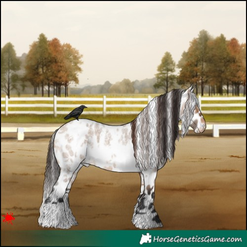 Horse Color:White Spotted Bay Roan Dun Leopard