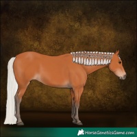 Horse Color:Silver Bay