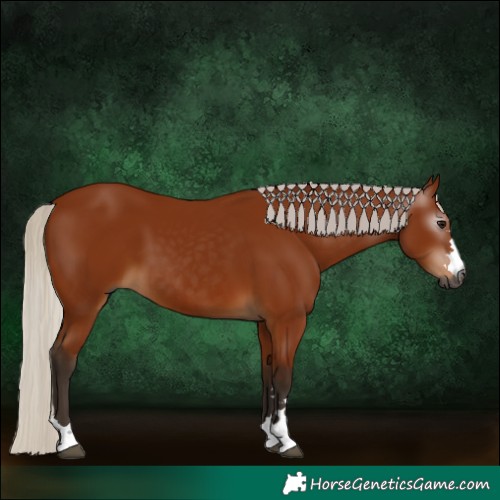 Horse Color:Gray Silver Bay 
