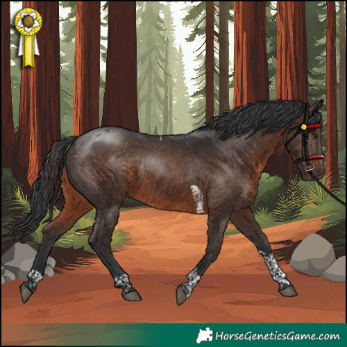Horse Color:Brown Tobiano Rabicano 
