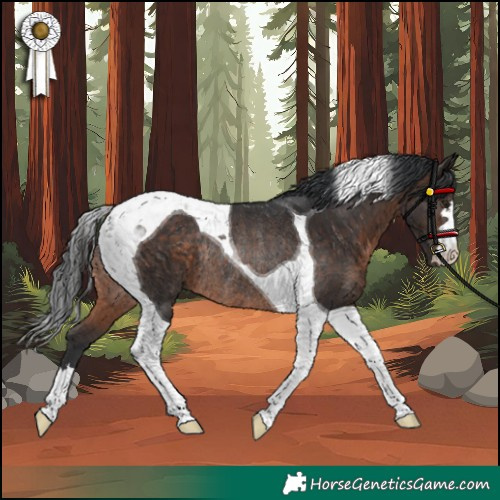 Horse Color:Brown Tobiano Rabicano