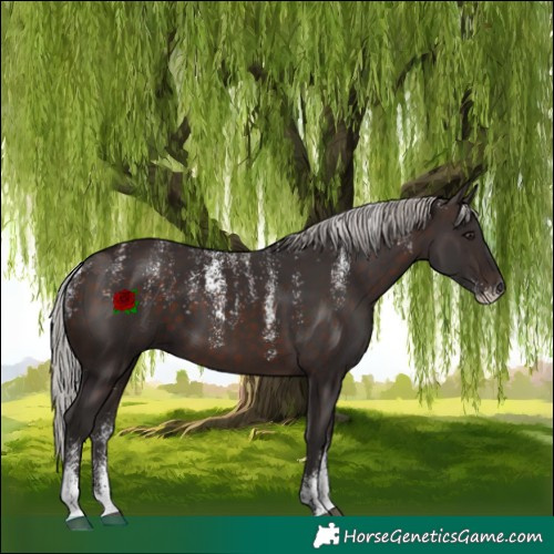 Horse Color:Powder White Silver Brown