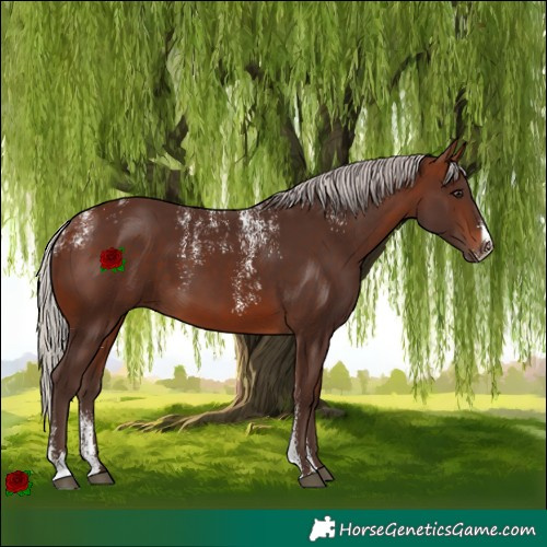 Horse Color:Powder White Silver Brown 