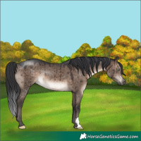Horse Color:Brown Dun Mushroom Rabicano Brindle
