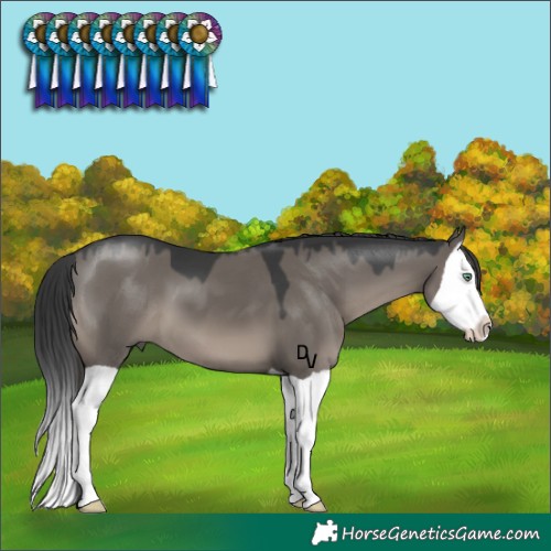 Horse Color:Grullo Mushroom Splash