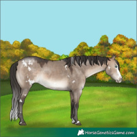 Horse Color:White Spotted Brown Dun Mushroom Splash 