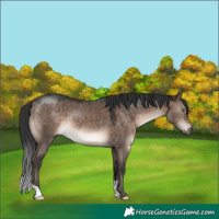 Horse Color:Brown Dun Mushroom 