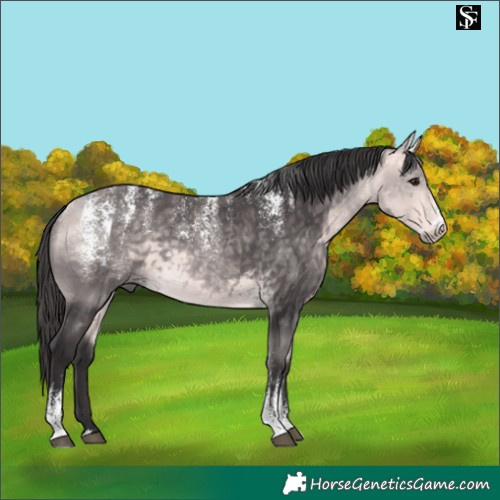 Horse Color:Powder White Platinum Buckskin 
