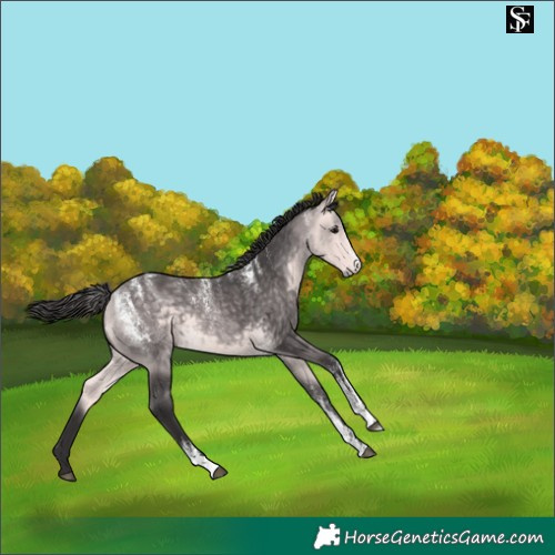 Horse Color:Powder White Platinum Buckskin 