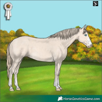 Horse Color:Perlino 