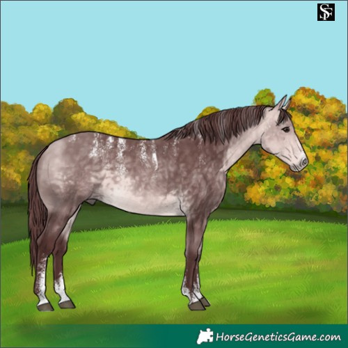 Horse Color:Powder White Platinum Chocolate Buckskin 