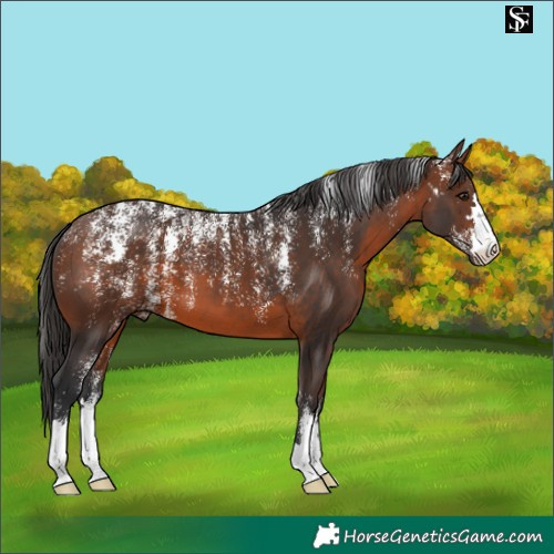 Horse Color:Powder White Brown 