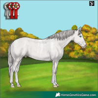 Horse Color:Powder White Platinum Smoky Creme 