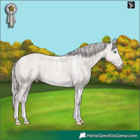 Horse Color:Powder White Platinum Smoky Creme 