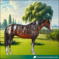 Horse Color:Powder White Bay 