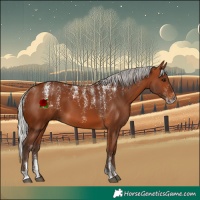 Horse Color:Powder White Silver Brown 