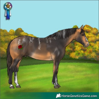 Horse Color:Powder White Buckskin