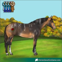 Horse Color:Powder White Buckskin