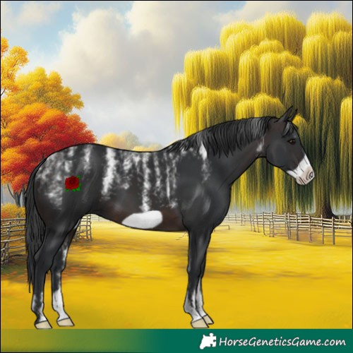 Horse Color:Powder White Brown Frame