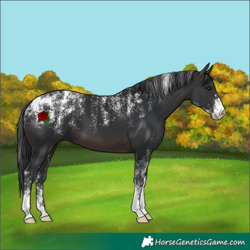 Horse Color:Powder White Brown