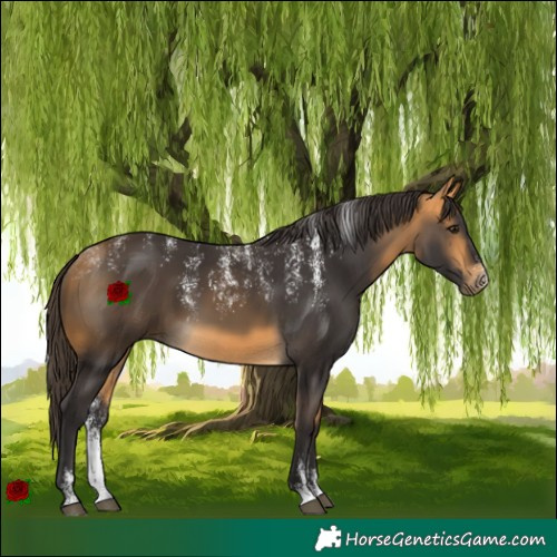 Horse Color:Powder White Buckskin