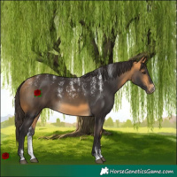 Horse Color:Powder White Buckskin