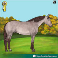 Horse Color:Platinum Chocolate Bay Dun 