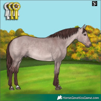 Horse Color:Platinum Chocolate Bay Dun 