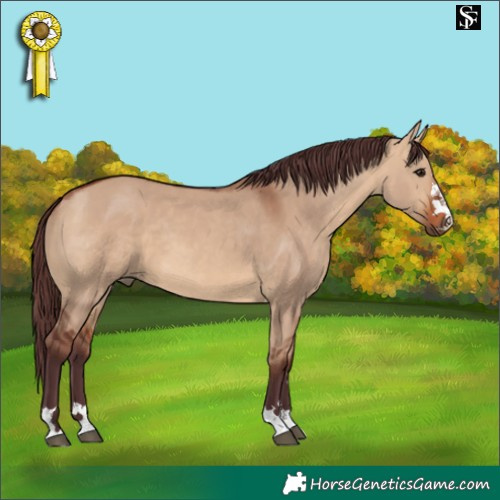 Horse Color:Chocolate Bay Dun