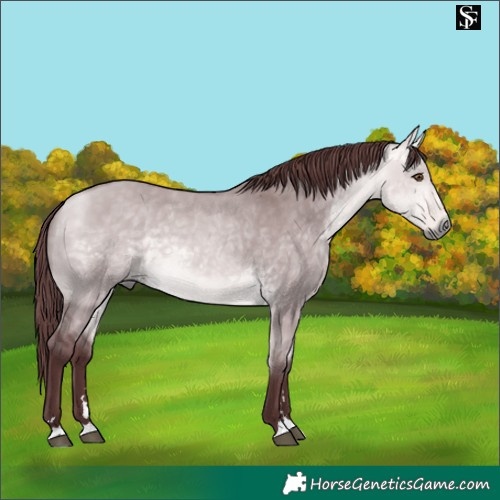 Horse Color:Platinum Chocolate Buckskin Dun