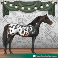 Horse Color:Brown Blanket 