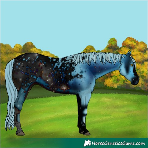 Horse Color:ERROR: UNKNOWN ANOMALY