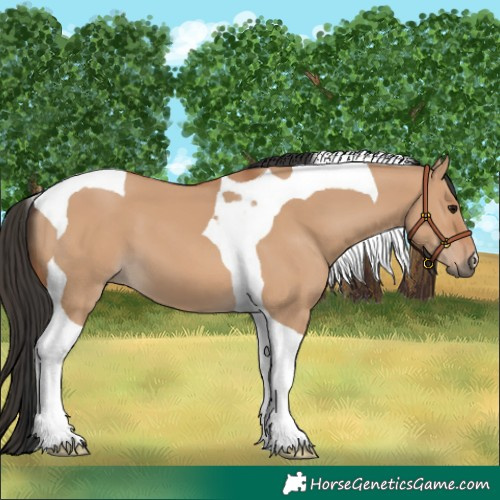 Horse Color:Bay Dun Tobiano