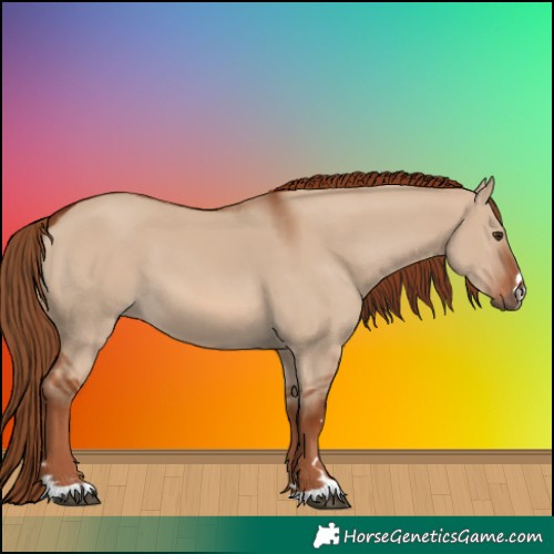 Horse Color:Red Dun 