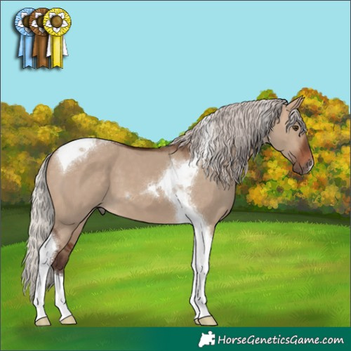 Horse Color:Silver Brown Dun Tobiano