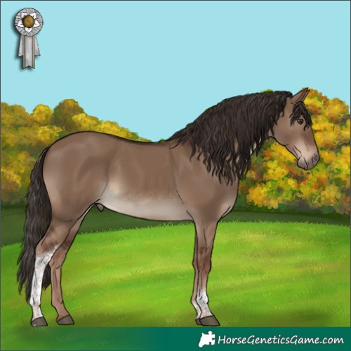 Horse Color:Liver Red Dun Tobiano