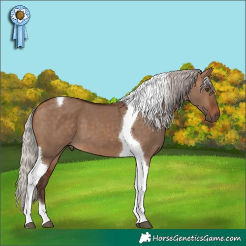 Horse Color:Silver Bay Dun Tobiano